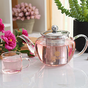 Heat Resistant Glass Loose Teapot